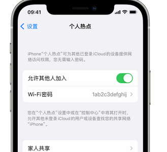 昭平apple服务站点分享iPhone上个人热点丢失了怎么办 