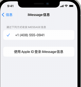 昭平apple维修iPhone上无法正常发送iMessage信息