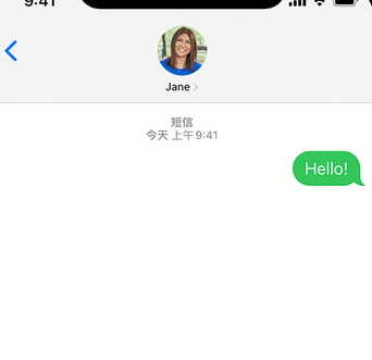 昭平apple维修iPhone上无法正常发送iMessage信息