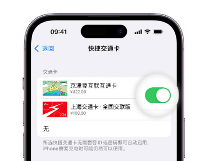 昭平apple维修点分享iPhone上更换Apple Pay快捷交通卡手绘卡面 