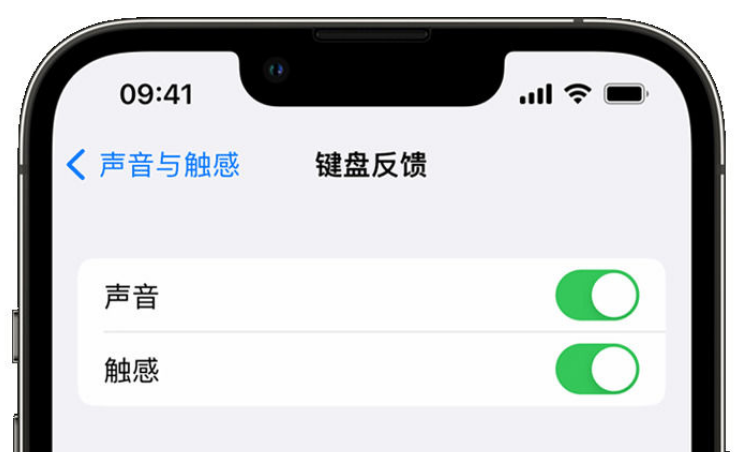 昭平苹果手机维修分享iPhone 14触感键盘使用方法 