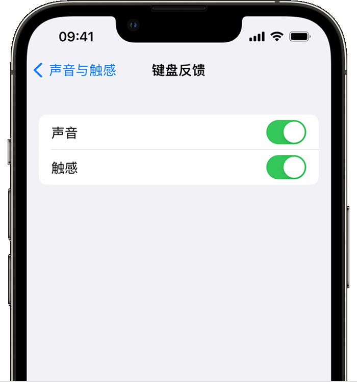 昭平苹果14维修店分享如何在 iPhone 14 机型中使用触感键盘 