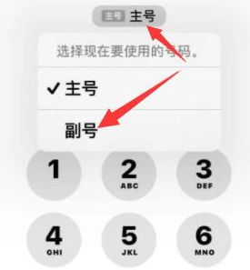 昭平苹果14维修店分享iPhone 14 Pro Max使用副卡打电话的方法 