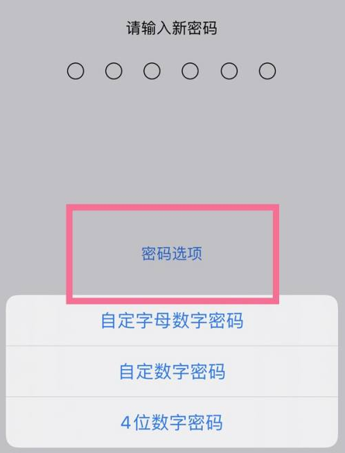 昭平苹果14维修分享iPhone 14plus设置密码的方法 