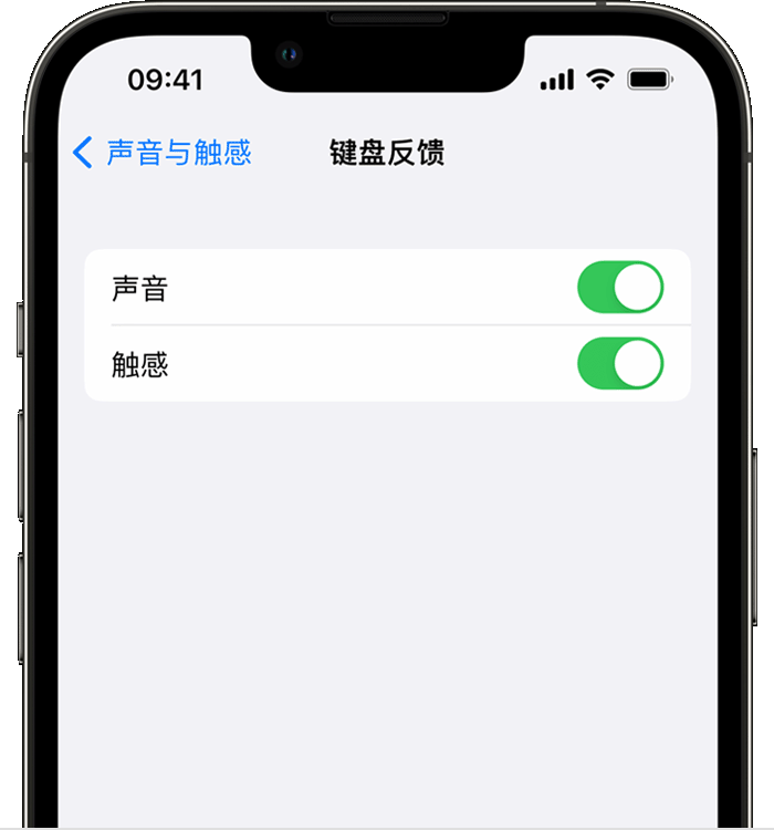 昭平苹果14维修分享iPhone 14 系列机型如何开启键盘声音或触感反馈 
