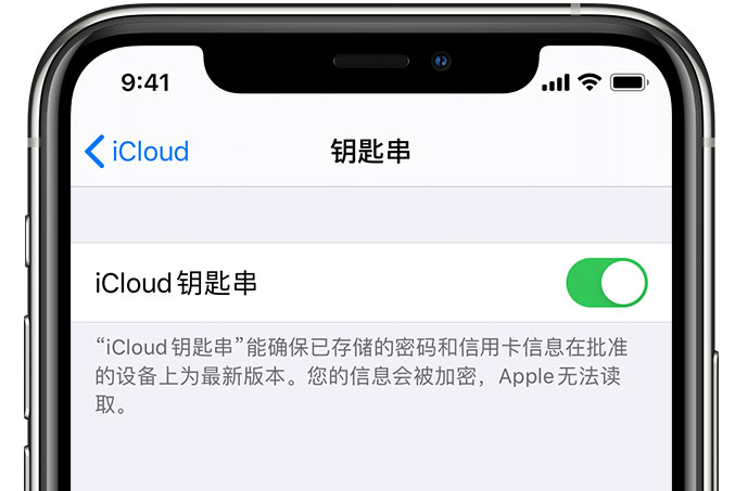 昭平苹果手机维修分享在 iPhone 上开启 iCloud 钥匙串之后会储存哪些信息 