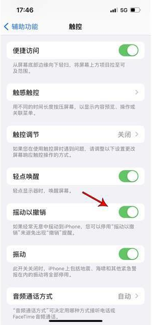 昭平苹果手机维修分享iPhone手机如何设置摇一摇删除文字 