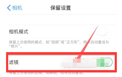 昭平苹果13维修分享iPhone13拍照有绿点是怎么回事 
