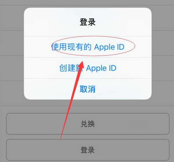 昭平苹果手机维修分享两台iPhone设备可以同时登录一个Apple ID吗 