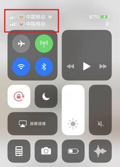昭平苹果手机维修分享为 iPhone 12 双卡设置标签 